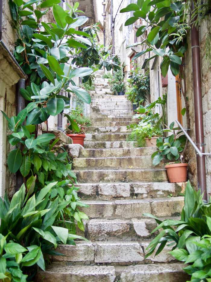 dubrovnik stairs plants